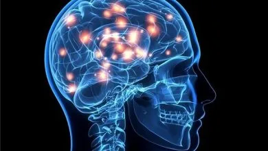 هوش مصنوعی متا با دقت ۸۰درصد فکر شما را می‌خواند
