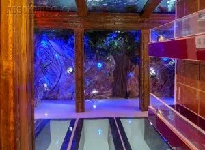 همسو فناوری