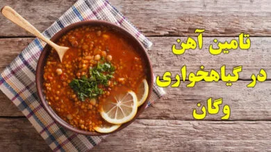 همسو فناوری