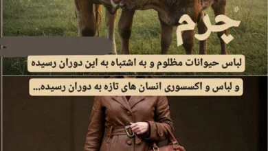 همسو فناوری