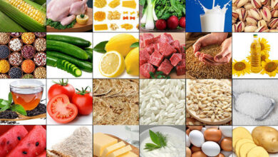 ضرورت ارائه راهکارهای عملیاتی برای امنیت غذایی در شرایط بحران