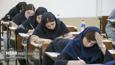 5604418.jpg