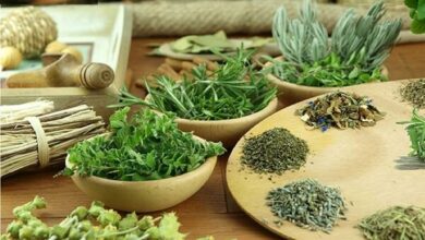 حرکت در مسیر نفوذ فناوری در صنعت گیاهان دارویی
