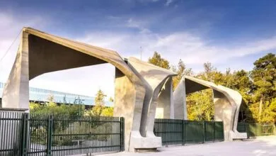 5850453.jpg