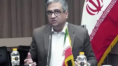 «فناوری های عصبی» یکی از پیشران‌های اقتصاد دانش‌بنیان در بخش سلامت