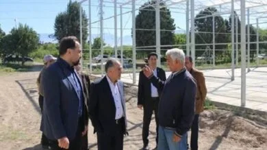 گام مشترک معاونت علمی و دانشگاه تهران برای توسعه دهکده فناوری کشاورزی