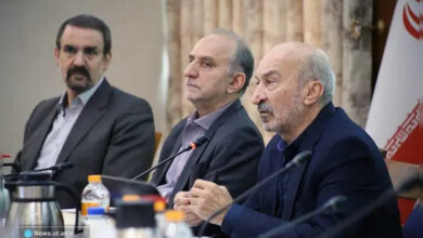 رئیس دانشگاه تهران : آموزش مجازی چندان مورد پسند نیست