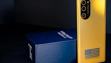 6029711.jpg