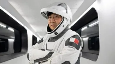 6033177.jpg