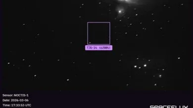 6034085.jpg