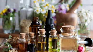 ارتقای دانش تجاری‌سازی و استانداردهای تولید در حوزه گیاهان دارویی