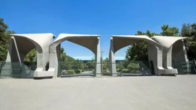 5549049.jpg