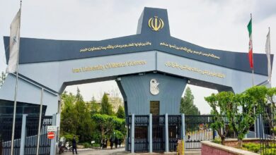 ۲ رتبه کشوری دانشگاه علوم پزشکی ایران در پزشکی و علوم زیستی ۲ رتبه کشوری دانشگاه علوم پزشکی ایران در پزشکی و علوم زیستی