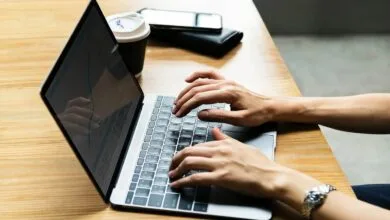 مذاکره با دستگاه‌ها برای توسعه صادرات محصولات فریلنسرها