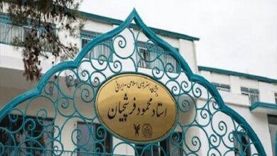 راه‌اندازی رشته «موسیقی ردیف دستگاهی» در دانشگاه استاد فرشچیان