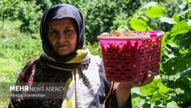 پروژه ملی «استارتاپ‌های روستایی ICT» در ۳ استان کلید خورد