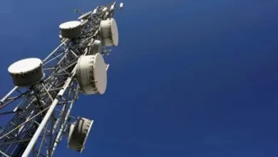 6052803.jpg