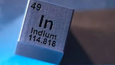 6068745.jpg