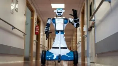 6069972.jpg