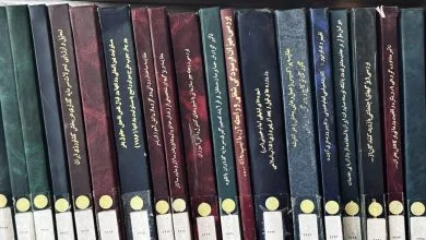 گزارش عملکرد سامانه همانندجو در نیمه دوم سال ۱۴۰۴ منتشر شد
