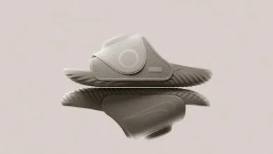 6113548.jpg
