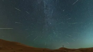 1785562099_6114898.jpg