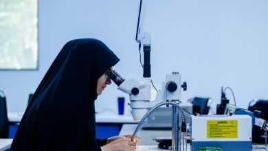 توانمندسازی دانشجویان برای ورود به بازار کار دانش‌بنیان