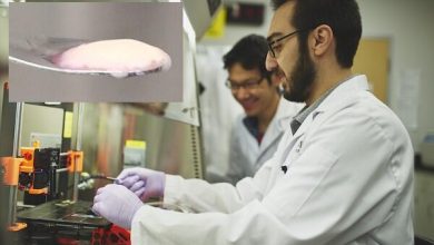 جزییات ۴ مدل دوره پسادکتری برای استفاده از ظرفیت فارغ‌التحصیلان