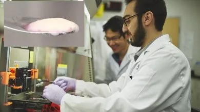 همسو فناوری