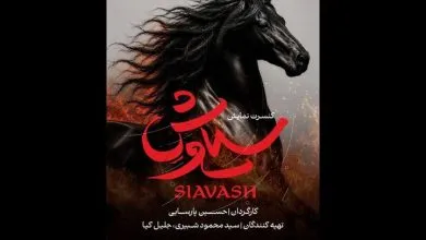 همسو فناوری