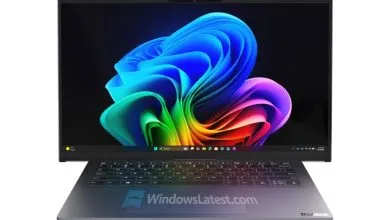 6129007.jpg