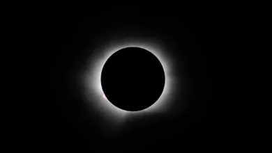 6130795.jpg